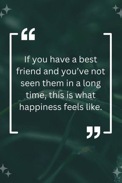 Happiness Is Meeting Your Best Friend After a Long Time Quotes ()