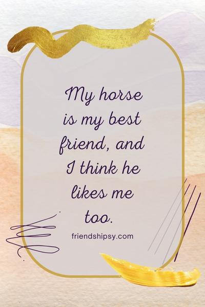 My Horse is My Best Friend Quotes
