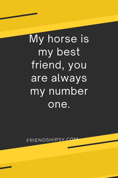My Horse is My Best Friend Quotes