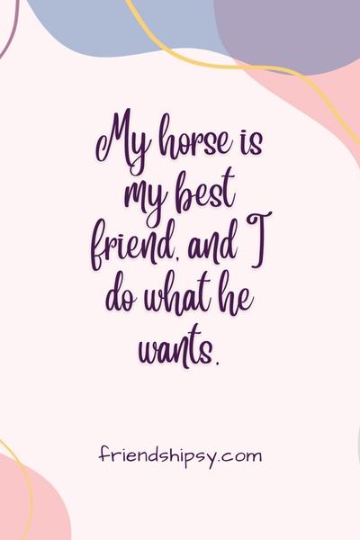 My Horse is My Best Friend Quotes ()