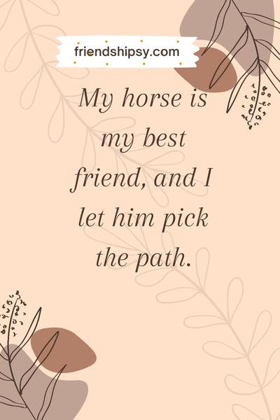 My Horse is My Best Friend Quotes ()