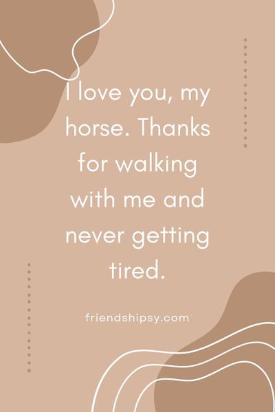 My Horse is My Best Friend Quotes ()
