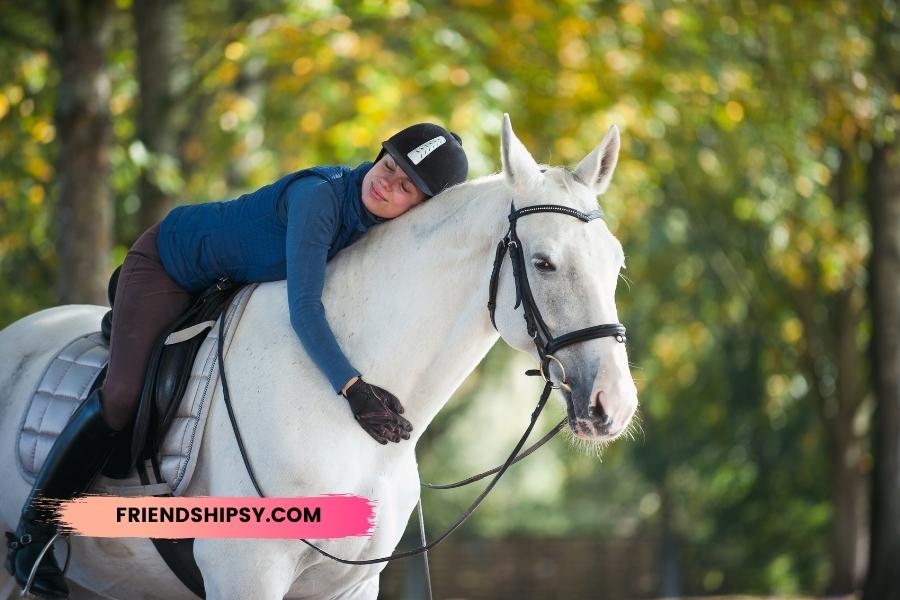 My Horse is My Best Friend Quotes