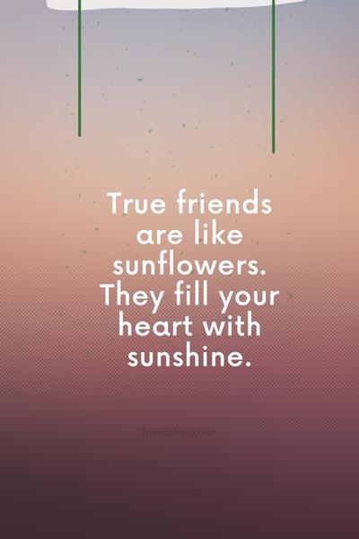 True Friends Will Support You Quotes True Friends Will Support You Quotes