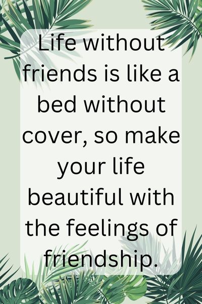Life Without Friends Quotes