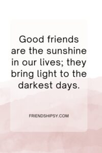Friendship Is More Important Than Love Quotes ()
