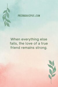 Friendship Is More Important Than Love Quotes ()