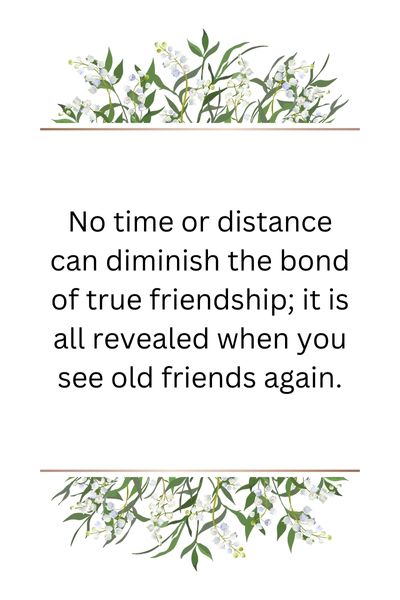 Seeing Friends After a Long Time Quotes ()