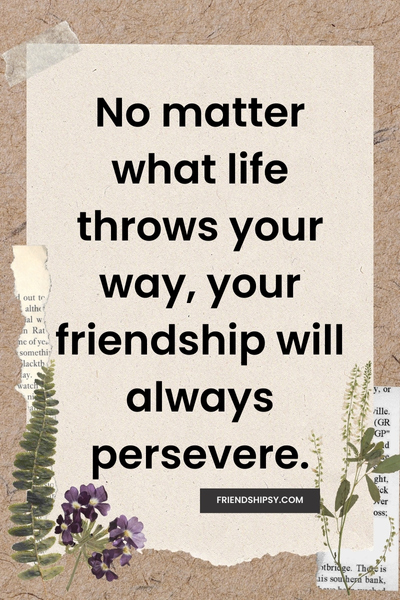 Fights in Friendship Quotes