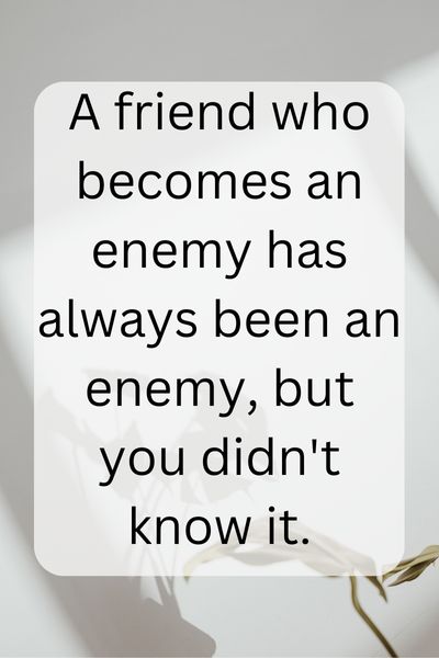 Friend Becoming Enemy Quotes ()
