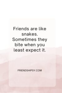 Friends Are Like Snakes Quotes