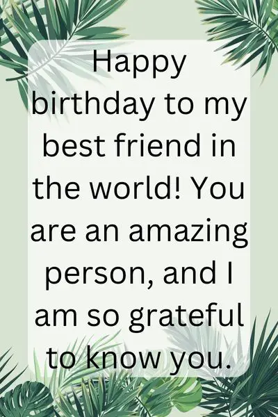 Happy Birthday Quotes for Guy Friend