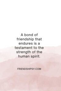 True Friendship Never Ends Quotes