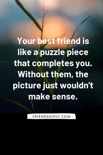 Best Friends Are Like Puzzle Pieces Quotes ()