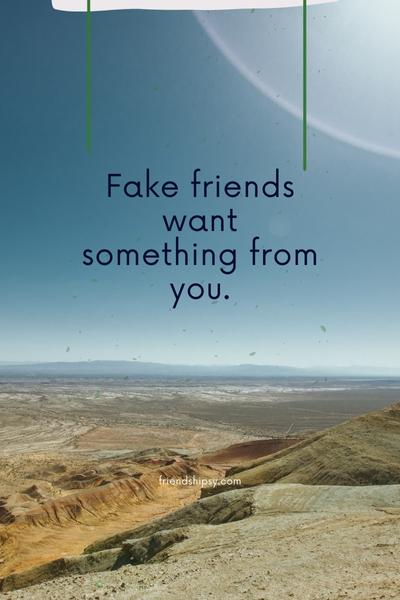 Cut Off Fake Friends Quotes ()