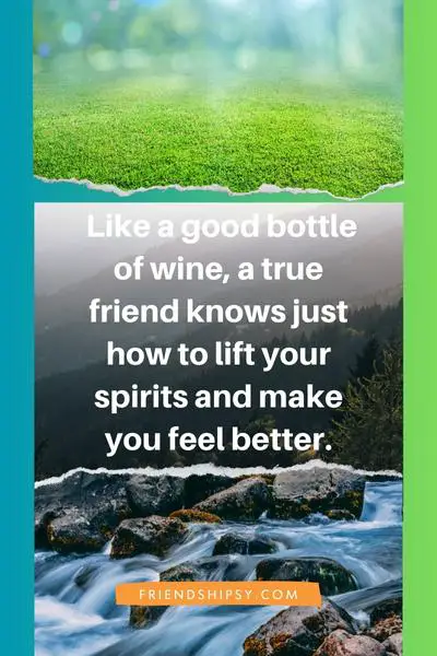 Friends Are Like Wine Quotes ()