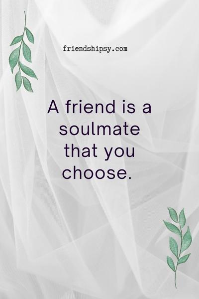 Friends Are Soulmates Quotes ()