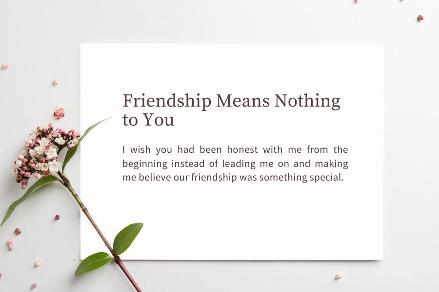 Friendship Means Nothing to You Quotes - Friendshipsy