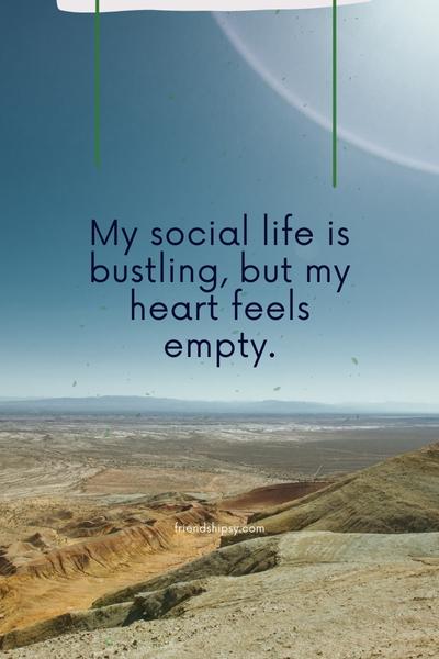 I Have Lots of Friends but I Feel Lonely Quotes ()