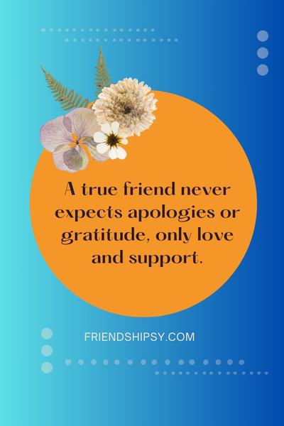 No Sorry No Thanks in Friendship Quotes ()