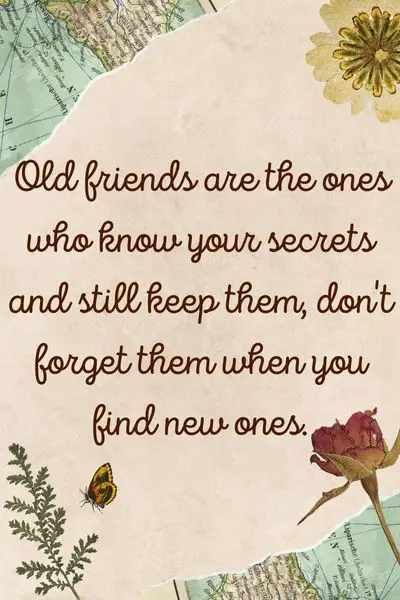 Don't Forget Old Friends When You Find New Ones Quotes ()