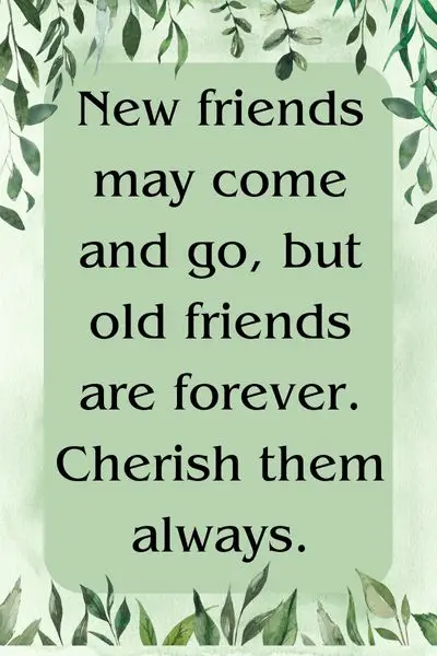 Don't Forget Old Friends When You Find New Ones Quotes ()