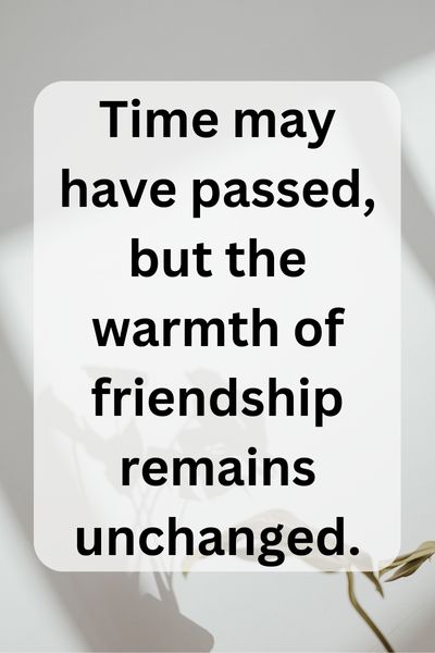 Meeting a Friend After Years Quotes ()