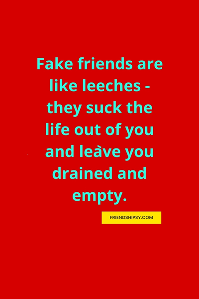 Be Careful of Fake Friends Quotes ()