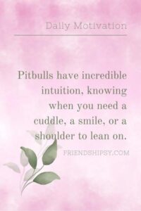 Best Friend Pitbull Quotes ()