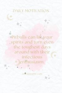 Best Friend Pitbull Quotes ()