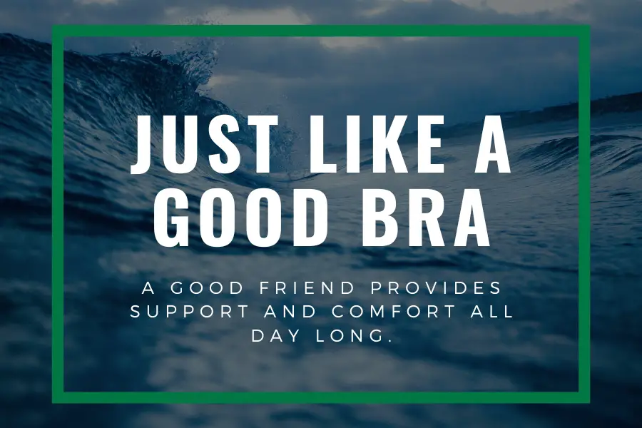 Best Friends Are Like a Good Bra Quotes