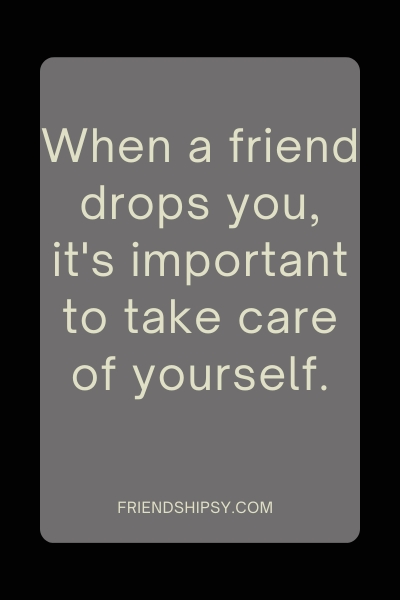 Friends That Drop You Quotes ()