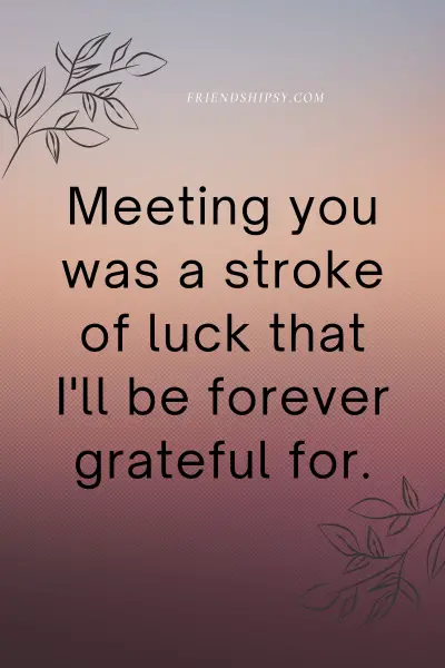 Glad I Met You Friend Quotes