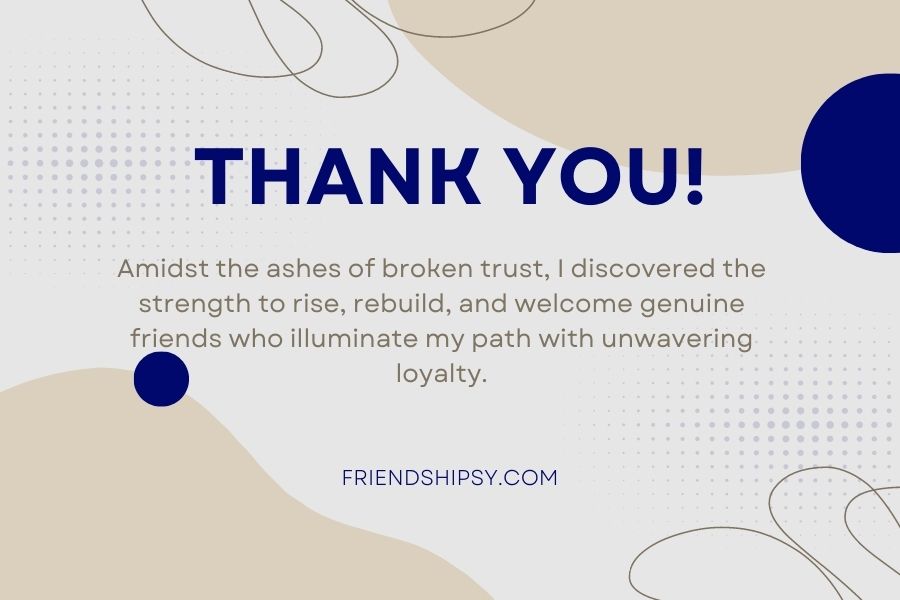 Thanks for Fake Friends Quotes