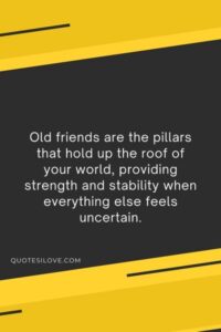 You Can’t Make New Old Friends Quotes ()