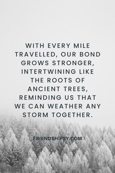 Enjoy Trip With Friends Quotes ()