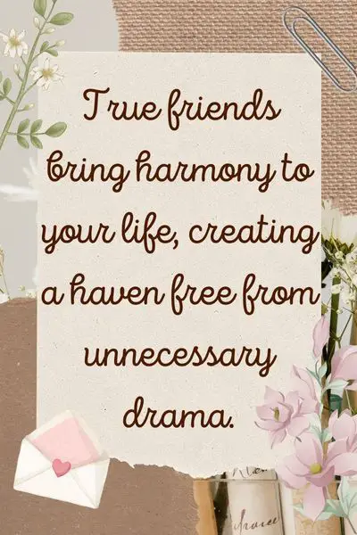 Fewer Friends Less Drama Quotes ()