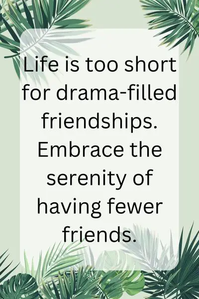 Fewer Friends Less Drama Quotes