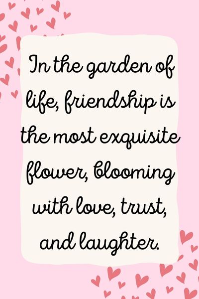 Friendship Makes Life More Beautiful Quotes