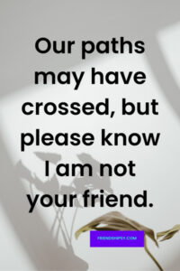 I Am Not Your Friend Quotes
