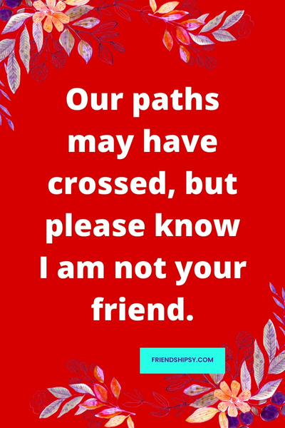 I Am Not Your Friend Quotes ()