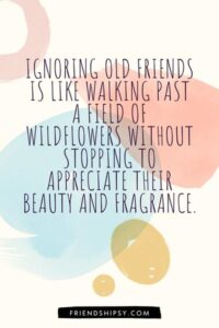Ignoring Old Friends Quotes ()