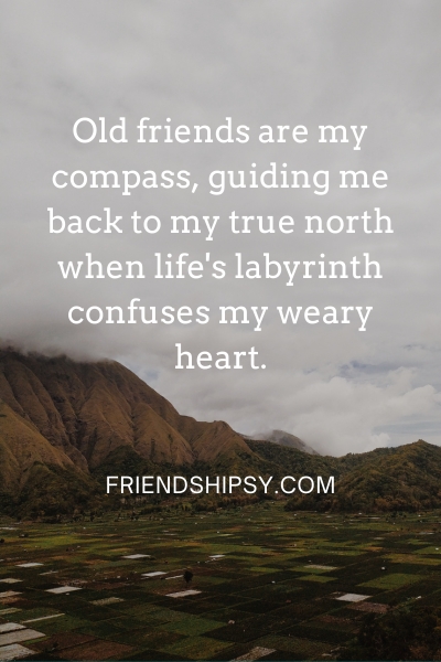 Nothing Like Old Friends Quotes ()
