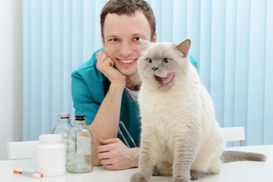 Quotes About Cats and Friendship