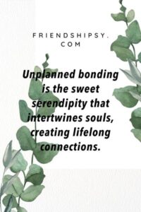 Unplanned Bonding With Friends Quotes ()