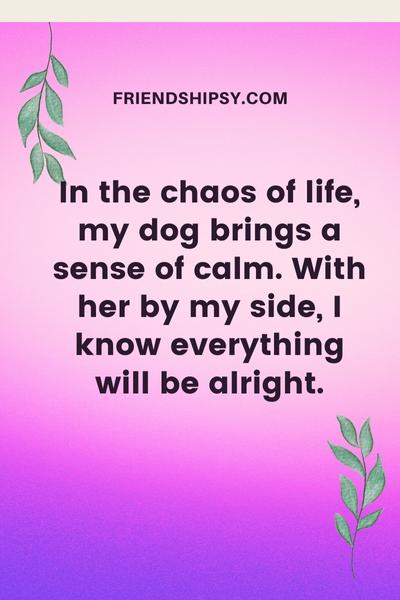 Dogs Are a Woman's Best Friend Quotes ()