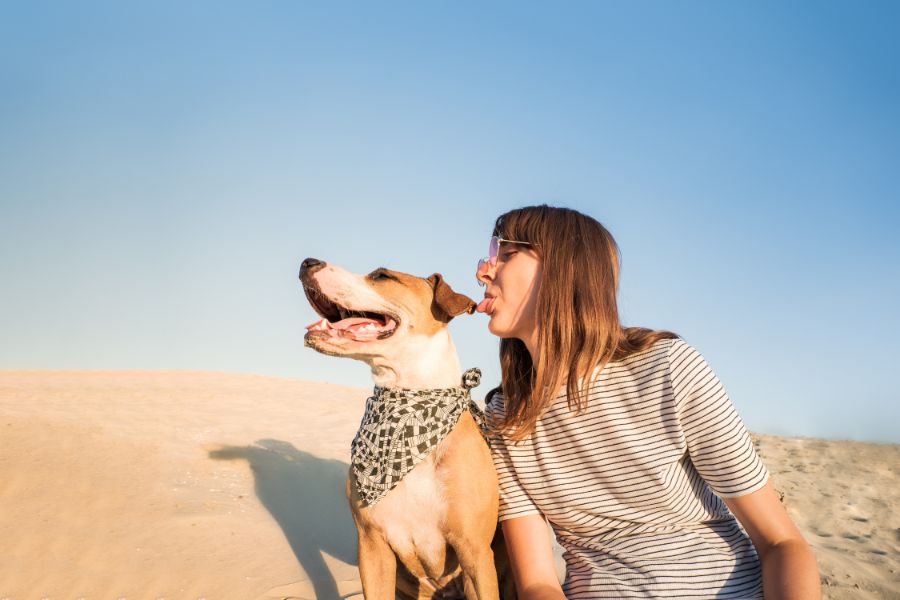 Dogs Are a Woman's Best Friend Quotes