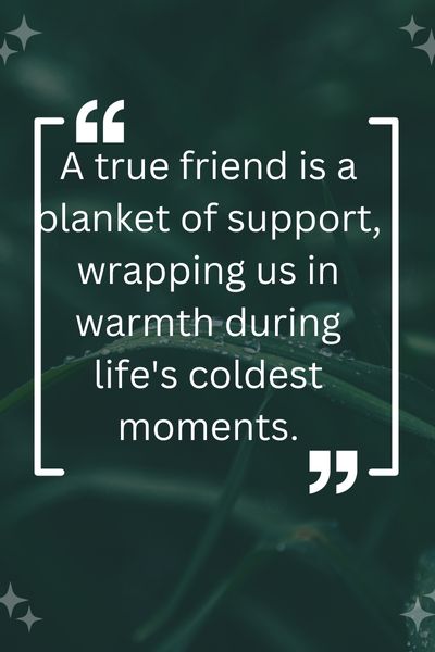 Friendship Blanket Quotes ()