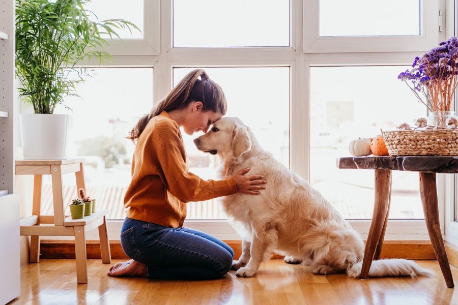 Friendship Day Quotes for Dogs