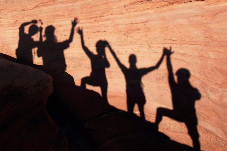 Friendship Shadow Quotes